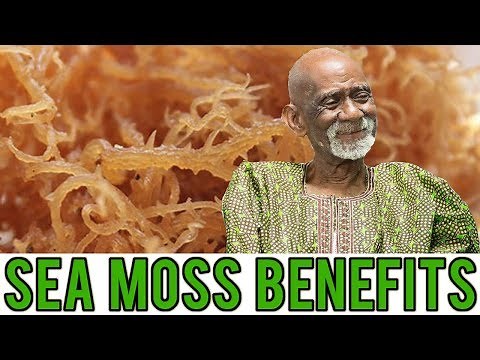 Dr Sebi Talks About Amazing Benefits Of Sea Moss