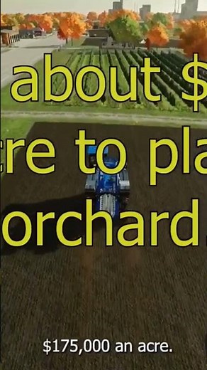FS 22 What Does an Olive Orchard Cost to Build? #farmingsimulator22 #farmingsimulator #fs22 #fs
