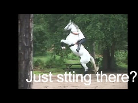 PROOF that Horseback riding is a sport