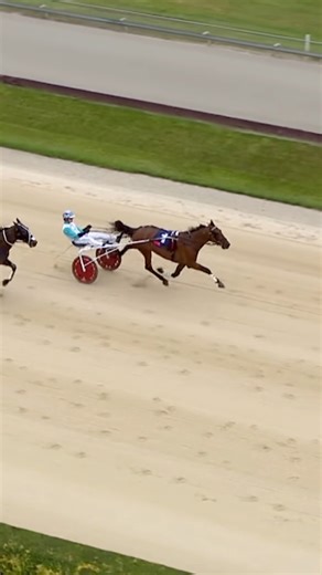 No hopples no worries for 🥇🐴FRANCO SINATRA as he scores another at Addington Raceway!! #winning #win #harness #horseracing #racing #training #horses #horse #pacer #celebration #harnessracing | Kentuckiana Lodge