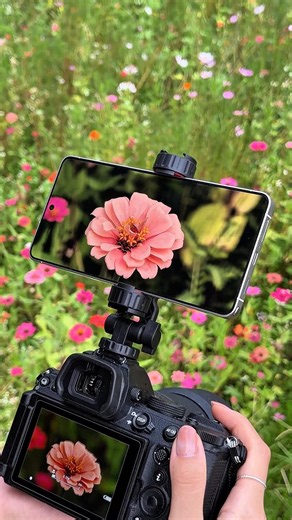 Samsung truly lives up its reputation as world-class screen manufacturer; screen quality comparable