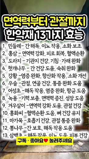 내 몸 살리는 한약재 효능 13가지 🌿