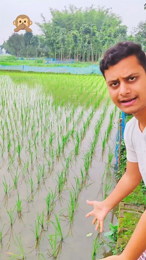 58K views · 2.6K reactions | Good Morning  | MS on FIRE | Facebook