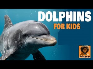 Bottlenose Dolphins for Kids | Amazing Fun Facts and Information | Learn with Marko