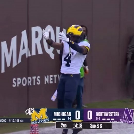 Michigan vs. Ohio State Highlights: Jeremiah Smith's Touchdown