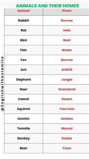 Animals and their homes #learning #english #speakingeveryday #languagelearning