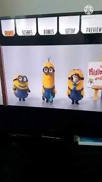Opening to Despicable Me 2 2013 DVD