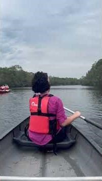 NOOSA AUSTRALIA | EVERGLADES TOUR