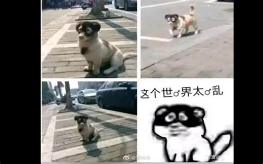 沙雕图片gif合集（04）