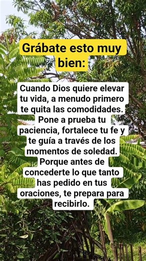 Cuando Dios quiere elevar tu vida #frases #reflexion #motivacion