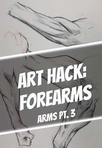 Mastering Forearm Anatomy: A Drawing Guide