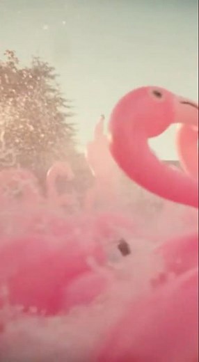 Flamingo Storm at the Pool