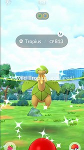 Finally got a Shiny ✨Tropius in Go-Fest 2026 in PokemonGo 😳 #shorts #pokemongo