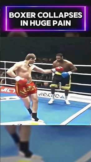 Boxer VS Kickboxer in a Real Fight!