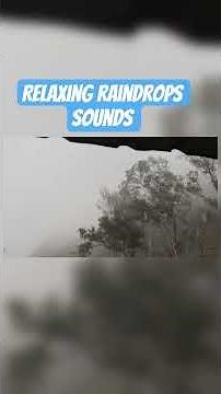 Relaxing raindrops sounds #shorts #viralshorts