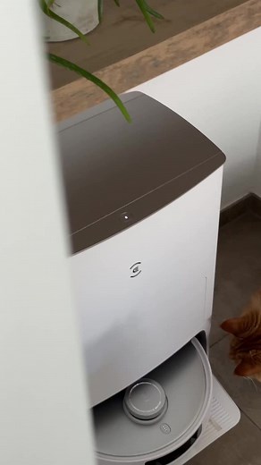 1.3K views | Elevate your clean with the T20 OMNI. Check out the link below to reserve yours today. https://bit.ly/3P1Sghj Via @uru_sheryl_mon #T20OMNI #LevelUpCleaning #ElevateYourClean #YouDeserveaDEEEBOT | Ecovacs | Facebook