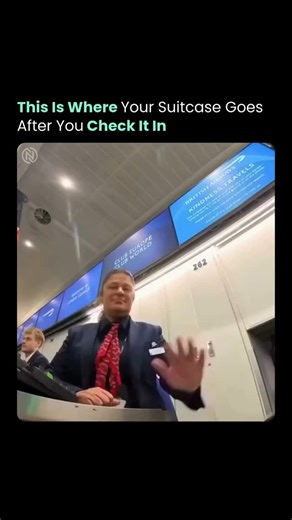 Nexvion AI | After check-in, bags enter a vast underground conveyor network. Automated scanners read tags and sort luggage by destination. Security... | Instagram
