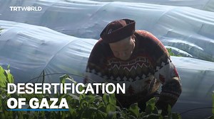 3.7K views · 290 reactions | There was a time when Gaza had fertile land that produced abundant quantities of citrus fruits and vegetables. But much of it has now turned into desert. | TRT World | Facebook