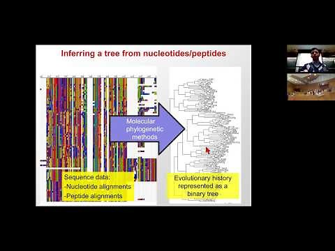 MIT CompBio Lecture 19 - Phylogenetics