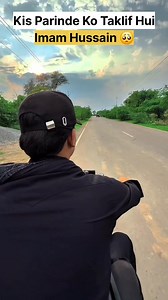 Kis Parinde ko Taklif Hui Thi | Islam Atb Shaikh