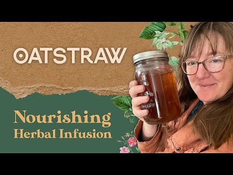 Oatstraw Nourishing Herbal Infusion | Benefits & How to Use