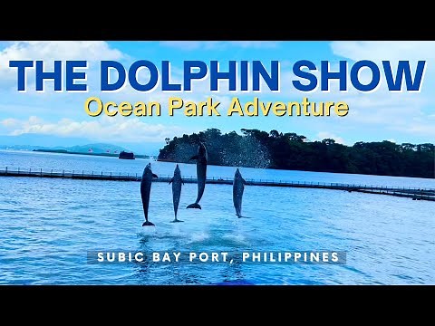 The Dolphin Show | Ocean Adventure | Subic Bay Port & Meet the good looking Dolphin Trainers