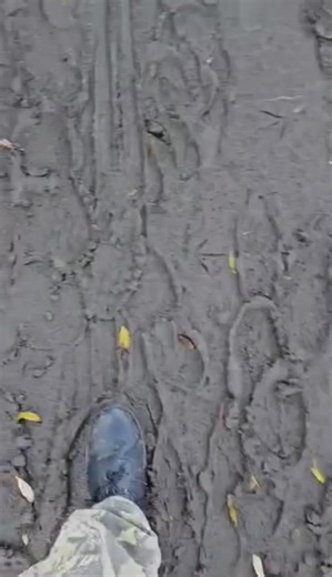 2.5K views · 17 reactions | Paths near the accessible angling platform choked with mud from recent floods. Thanks to Eddie Sloan for the footage . | Cleanthequoile | Facebook