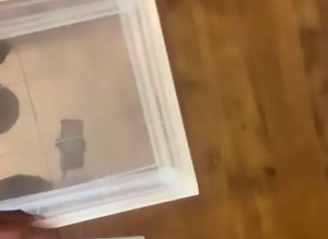 Watch Customer - how to assemble the box on Amazon Live