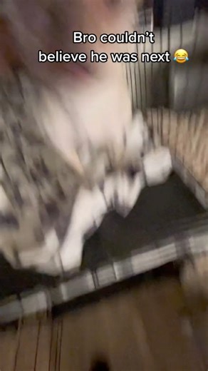 He couldn’t believe he was next 😂😂😂😂 #viral #funnyvideos #joshbutlertv | Josh Butler