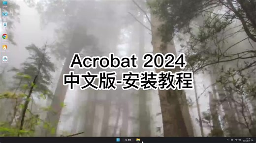 安装Acrobat 2024指南，快速提升你的Acrobat 2024技能