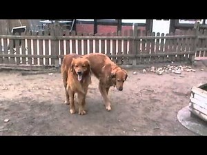 Deckakt Krischan+Nanda