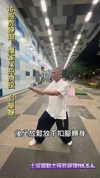鄭子太極拳37勢~複習16～17式