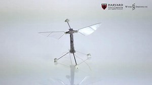 Flying Robotic Bees Are Here!