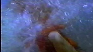 Listen to EMF on Spotify: https://open.spotify.com/artist/39oSLGo3HkaeYXzUEGgAGQ EMF - It's You (Official Music Video) Taken from the album: Stigma (1992) Find EMF online: Website: http://www.emf-theband.com Facebook: https://www.facebook.com/EMFTheBand/ Instagram: http://instagram.com/emftheband Twitter: http://twitter.com/EMFTheBand | EMF