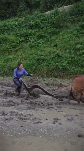 #农村姑娘你会嫌弃吗 #农村姑娘你娶不娶 #农村姑娘谁不喜欢