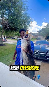 5.9K views · 230 reactions | Cobia, often called the “black...