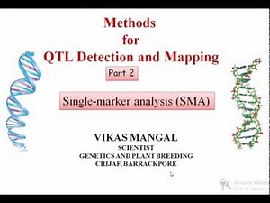 QTL Detection and Mapping Methods Part 2 (Single Marker Analysis, SMA) by Vikas Mangal