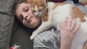 WB Loop 202 at Loop 101 reopens after fatal crash