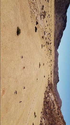 Graceful Oryx of Naukluft Park, Namibia #namibiadesert #namibiatourism #travel