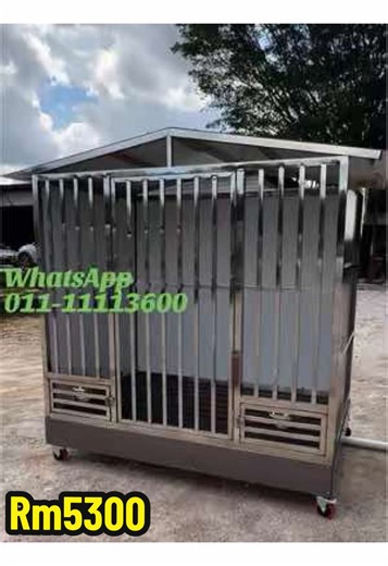 Easy Clean Bird and Dog Cage Solutions