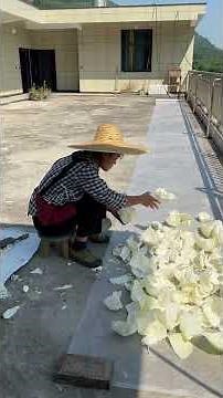 International Cabbage Cutting and Cooking | Chinese-Style Badhakopi Food Making