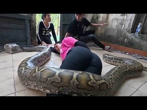 Giant Snake Attack in Abandoned House – Brave Hunters Rescue Girl #snake