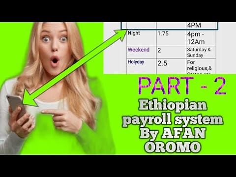 (P-2)Fundamental of accounting (Ethiopian payroll system) by afan oromo