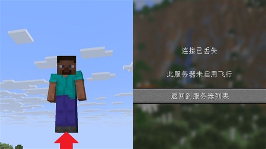 [MCJE特性] 负重力会导致被原版游戏踢出？细剖代码！