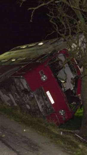 ‎ﮩ٨ـﮩﮩ٨ـ ×͜×🇷 🇦 🇳 🇦 🇺 🇸 🇹 🇦 🇩 ×͜× ﮩ٨ـﮩﮩ٨ـ‎ | ets bus graphics review #short #video | Instagram