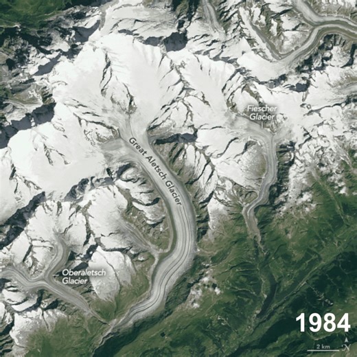 Like many glaciers in the Alps, the Great Aletsch Glacier is retreating and thinning. The TM (Thematic Mapper) on Landsat 5 captured the first image in September 1984, and the OLI (Operational Land Imager) on Landsat 8 captured the second image in August 2024. The shortening and narrowing of a glacier’s surface area—parameters visible in Landsat images—can indicate a net loss of ice mass. More: https://go.nasa.gov/4idTqlB | NASA Earth