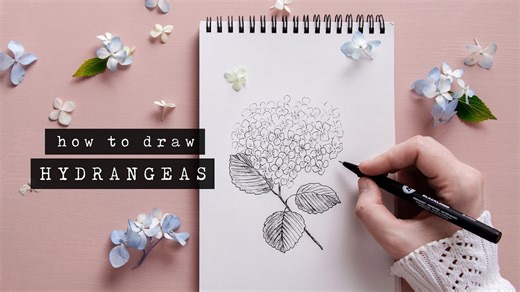 How To Draw Hydrangeas _ Floral Illustration