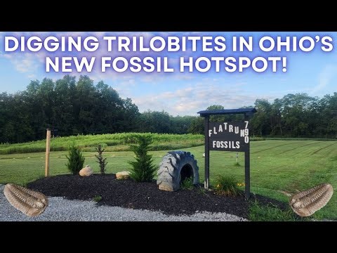 Digging Trilobites at Flat Run Fossils – Ohio’s Newest Quarry!