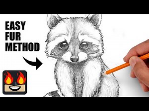 How To Draw a Raccoon | Sketch Workshop