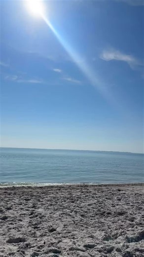 How We Spent Christmas Day as (New) Floridians. Merry Christmas Everyone! | Courtney Fricke